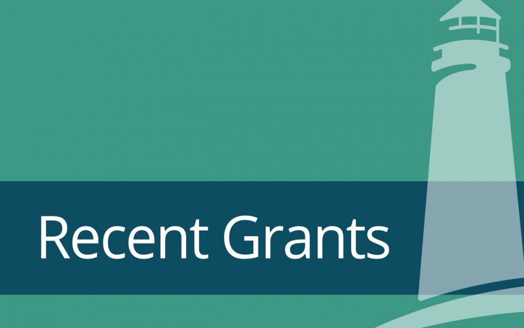 Recent Grants Support Diversity, Equity, and Inclusion