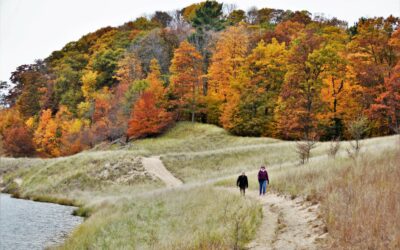 Grant Recipient: Ottawa Sands
