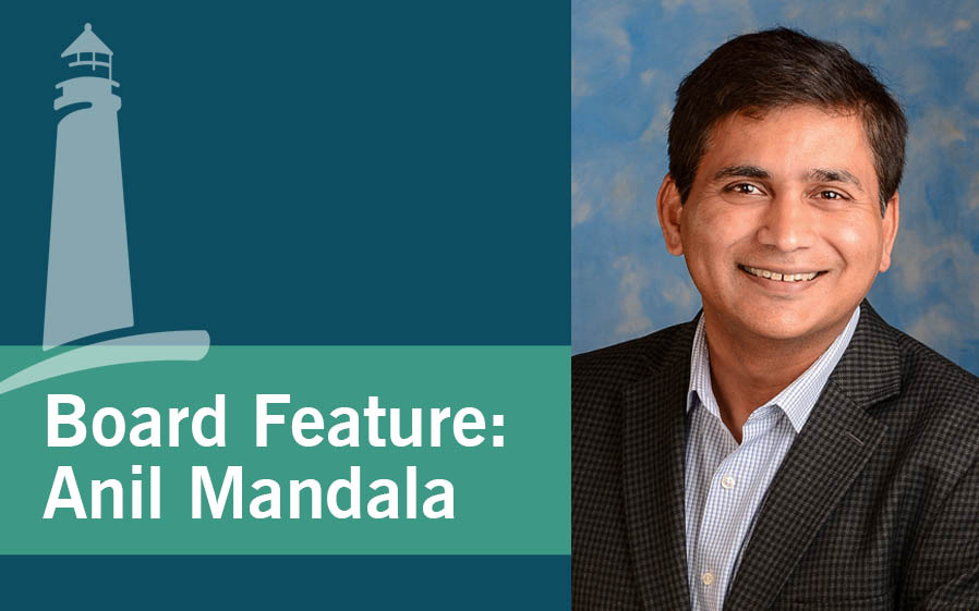 Board Feature: Anil Mandala